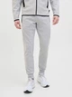 Штани чоловічі JACK & JONES 12261991 L light grey melange - зображення 1