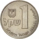 Ізраїль 1 шекель 1981 рік Монети світу - изображение 1