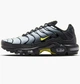 Кросівки чоловічі Nike Air Max Plus 45 Комбінований DM0032-012 - зображення 1