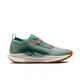 Кросівки чоловічі Nike Pegasus Trail 5 Gore-Tex 38.5 Комбінований FQ0908-300 - зображення 2