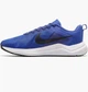 Кросівки чоловічі Nike Downshifter 12 Blue 41 Синій DD9293-402 - зображення 1
