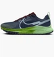 Трейловые кроссовки для бега мужские Nike React Pegasus Trail 4 49.5 Синий DJ6158-403 - изображение 1