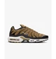 Кроссовки мужские Nike Air Max Plus 41 Коричневый DM0032-700 - изображение 5