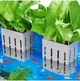 Подвесной держатель для аквариумных растений Upgraded Aquarium Plant Holder w/ Hooks (со съемными крючками и присосками) - изображение 1