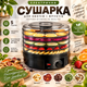 Сушарка для фруктів і овочів Zepline з регулюванням температури 35–70°C, дегідратор для грибів, ягід, трав і м’яса, 5 піддонів, 800 Вт - изображение 1