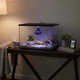 Лампа ночная синяя Terra Night Heat Blue, 60W Happet, (BP01) - изображение 5