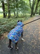 Дождевик-накидка с капюшоном для собак WAUDOG Clothes, рисунок "Инжир", размер M - изображение 10