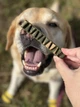 Ласощі для собак WAUDOG Treats Dental Паличка для чистки зубів з м'ятою і розмарином, 105 г (4431) - зображення 12