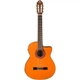 Класична гітара зі звукознімачем Washburn C5CE (528369) - зображення 1
