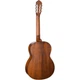 Классическая гитара Cort AC100 SG (35376) - изображение 5