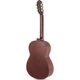 Классическая гитара VGS Student EU Cedar 4/4 (G-VG500146742) - изображение 2