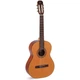 Классическая гитара Admira Paloma (19010) - изображение 1
