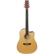 Акустическая гитара Parksons JB4111C Natural (35724) - изображение 1