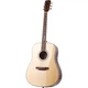 Акустическая гитара Prima DSAG205 Acoustic Guitar (126734) - изображение 2