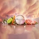 Тестер Парфюмированная вода для женщин Cerruti 1881 Reve De Roses 100 мл - изображение 3