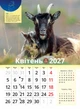 Астрокалендар 2027 Рік Червоної Вогняної Кози із серії Світовид - изображение 5