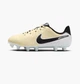 Бутсы детские Nike Tiempo Legend 10 Academy 32 Серый DV4348-700 - изображение 1