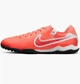 Сороконожки мужские Nike Legend 10 Pro Tf 40.5 Комбинированный DV4336-800 - изображение 1