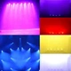 LED Голова STLS PL-14 7x10W - изображение 4