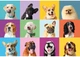 Пазл Clementoni Super: Щасливі Собачки (Super - Funny Faces Puzzle - 300 pcs.), колаж, 300 ел. (21739) - зображення 2