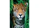 Пазл Clementoni High Quality Collection: Укрытие в джунглях (High Quality Collection - Jaguar in the Jungle Puzzle - 500 pcs.), 500 эл. (35541) - изображение 2