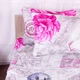 Простынь Микрофибра принт 15-0317 Oswin 220*240 - изображение 4