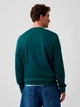 Свитшот на флисе мужской GAP 922928918 XL Зеленый (1162207086) - изображение 2
