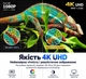 Моторизований ALR екран VividStorm 133″ 16:9 - підлоговий екран для проектора з пультом, 4K Ultra HD - зображення 11