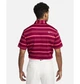Поло чоловіче Nike Dri-Fit Tour Striped Golf Polo Violet S Фіолетовий DR5300-620 - зображення 2