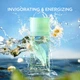 Туалетная вода Elizabeth Arden Green Tea женский парфюм с нотами бергамота, чая и цветочный аромат (100 мл) - изображение 5