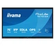 Монитор iiyama ProLite TE7515A-B1AG Touch (TE7515A-B1AG) EU - изображение 2