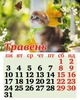 Наш календар. Милі котики на 2027 рік(перекидний,16 стор.) - изображение 2