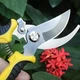 Секатор садовий 200мм R43948 - изображение 3
