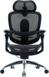 Fotel biurowy ergonomiczny Sihoo DORO C300 PRO V2 Czarny (4820216980141) - obraz 1
