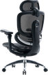 Fotel biurowy ergonomiczny Sihoo DORO C300 PRO V2 Czarny (4820216980141) - obraz 4