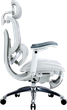 Fotel biurowy ergonomiczny Sihoo DORO C300 PRO V2 z podnożkiem White (4820216980172) - obraz 4