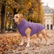 Курточка для собак WAUDOG Re-clothes двостороння, L55, A 52-55, B 77-79, C 50-55, бузковий 191629 - зображення 2