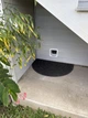 SureFlap смарт микрочипная умная дверца для кошек с WiFi RFID-метки мобильное управление уличные межкомнатные - изображение 10