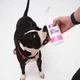 Лососева олія для собак та котів PRACTIK SUPERFOOD 500 мл - изображение 3