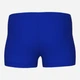 Детские плавки-шорты для мальчика Arena Logo Kids Boy Short 003612-803 98 см Синий/Желтый (3468337782537) - изображение 2