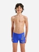 Подростковые плавки-шорты для мальчика Arena Tales Swim Short 009087-802 140 см Синий/Желтый (3468337784357) - изображение 1