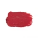 PAESE Помада з аргановою олією ARGAN OIL SATIN LIPSTICK (25), 4,3 г - изображение 3