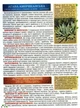 Полный атлас лекарственных растений. Глория – Алексеева Светлана (YB_D224CE3FDF86) - изображение 5