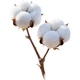 Салфетки для лица Minaier, 100% синьцзянский хлопок, одноразовые мягкие салфетки из чистого хлопка, для сухого и влажного использования, 18*20 см, 3 упаковки. - изображение 1