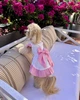 Платье для собаки молочное изо льна с розовыми акцентами “Belle&Bow” Feel with Fill, размер XL - изображение 2