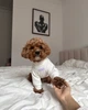 Гольф для собаки молочный с узором “Charmie” Feel with Fill, размер XS - изображение 2