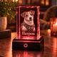 Персонализированный 3D LED-ночник/светильник «Ваш питомец» с фото и именем, K9-кристалл 5×5×8 см - изображение 3