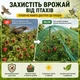 Сітка від птахів 5х10м 19х19мм Bradas зелена 48637 - изображение 6