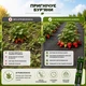 Агроволокно Agreen чорне з перфорацією 2 отв (1,07х10) 012282 - зображення 3
