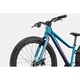 Велосипед подростковый 24 дюйма алюминиевая рама 8 скоростей Cannondale (SKE-28-78) - изображение 4